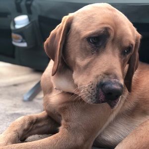 Meet your Posher, Kenny